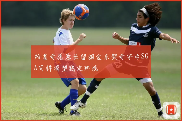 约基奇愿意长留掘金东契奇字母SGA同样渴望稳定环境